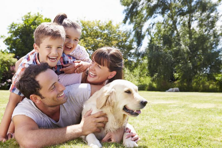 Pasos para mantener una mascota feliz y saludable dentro de la familia