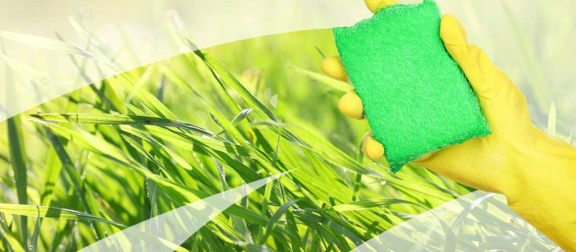 shutterstock_185425439(FILEminimizer)