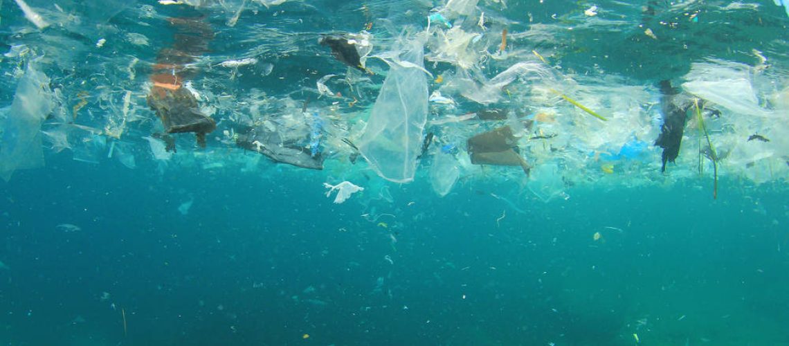 shutterstock_427946419(FILEminimizer)